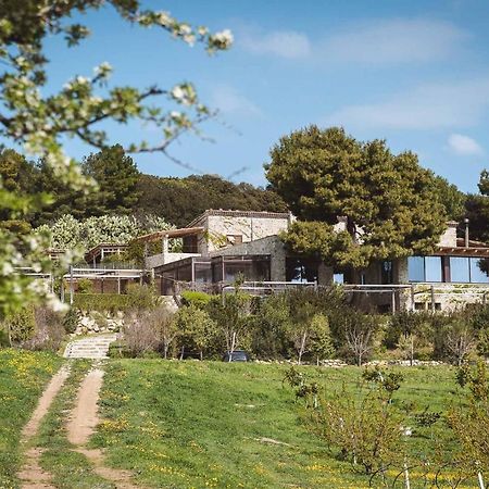 Masseria Agriturismo Torre Di Albidona Требизачче Экстерьер фото