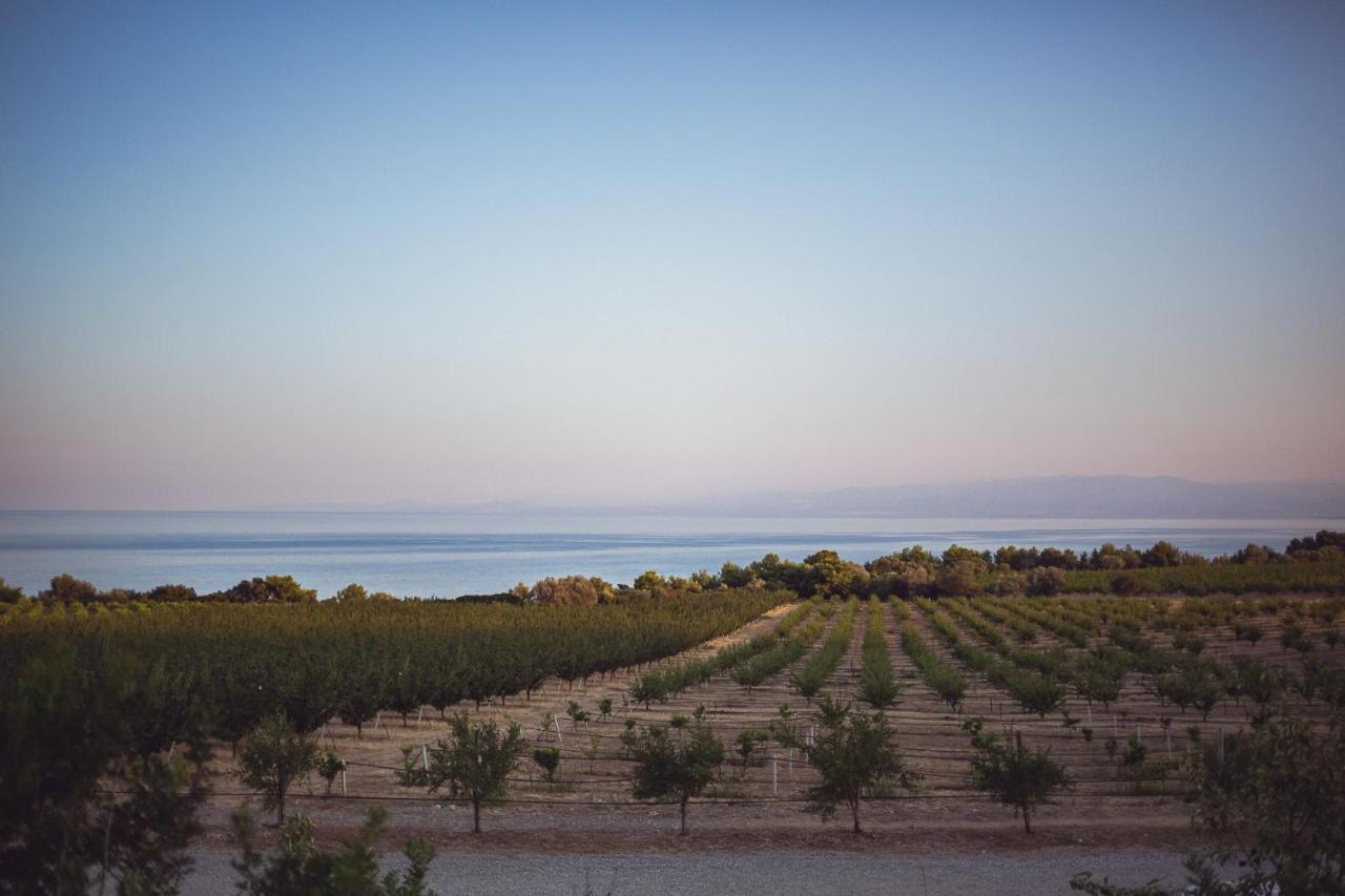 Masseria Agriturismo Torre Di Albidona Требизачче Экстерьер фото