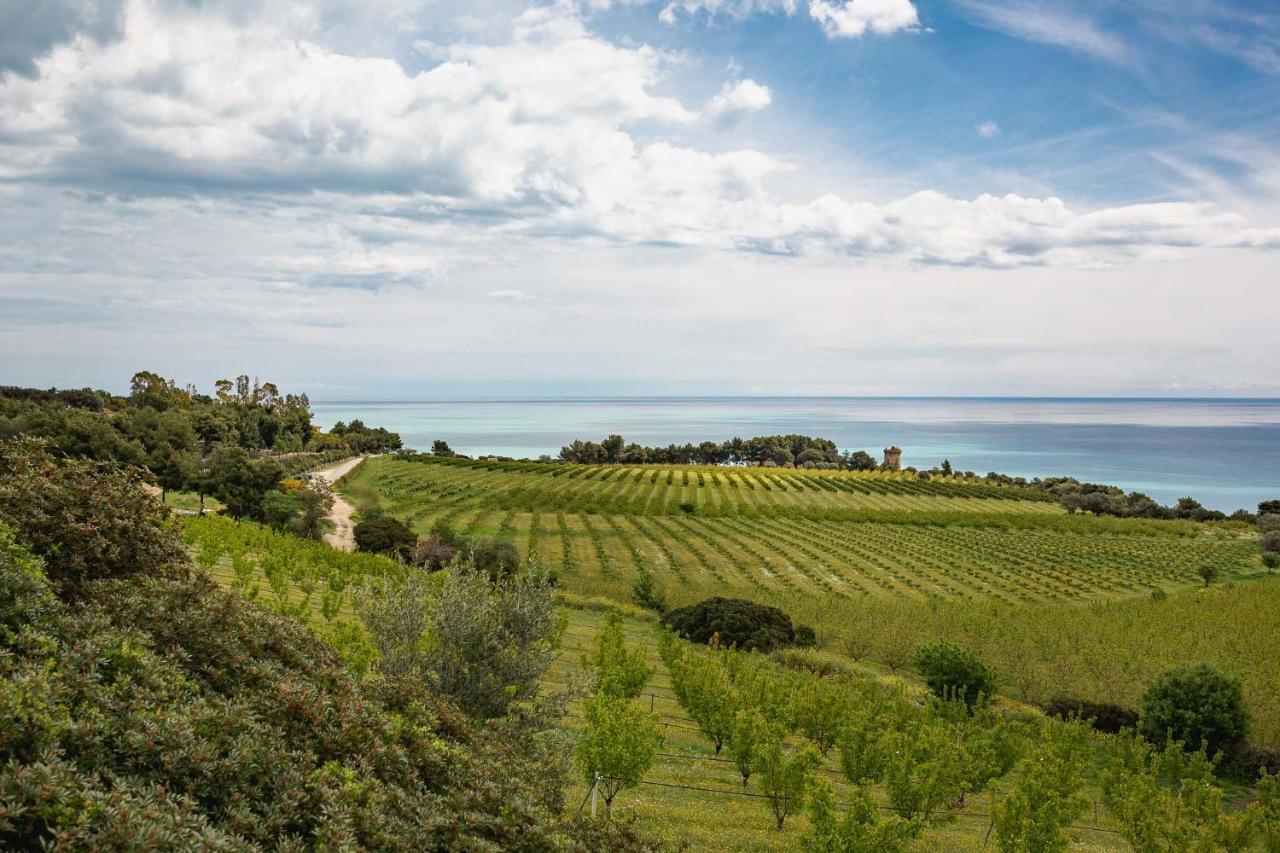 Masseria Agriturismo Torre Di Albidona Требизачче Экстерьер фото