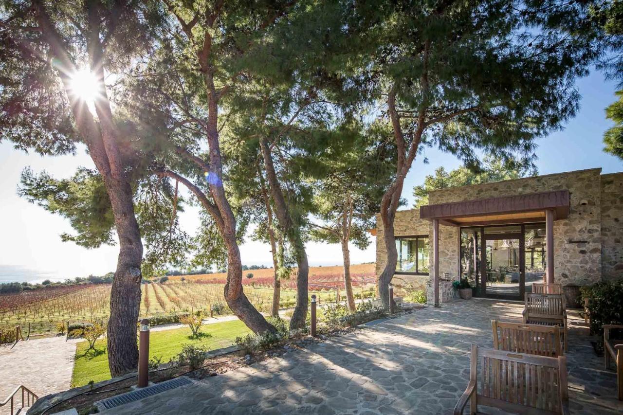 Masseria Agriturismo Torre Di Albidona Требизачче Экстерьер фото